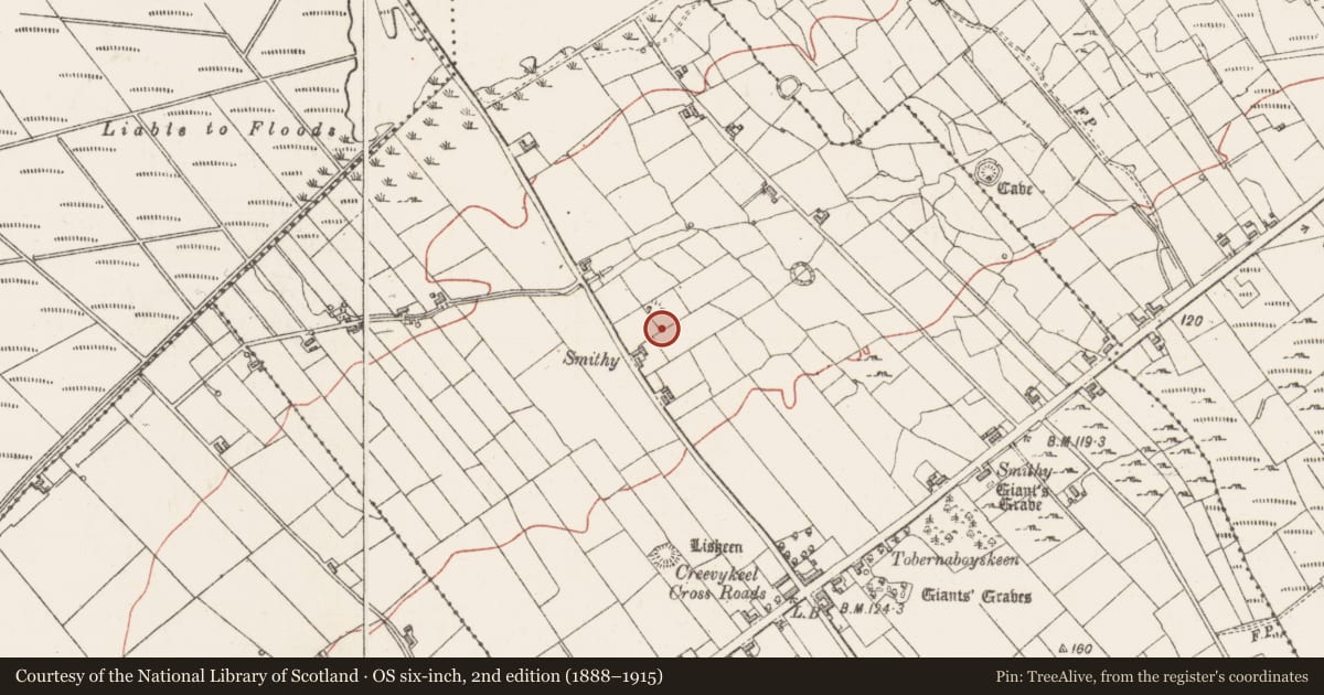Ordnance Survey six-inch map, 2nd edition (1888–1915) covering the location of Enclosure, Creevykeel, County Sligo, with a pin at the register's coordinates