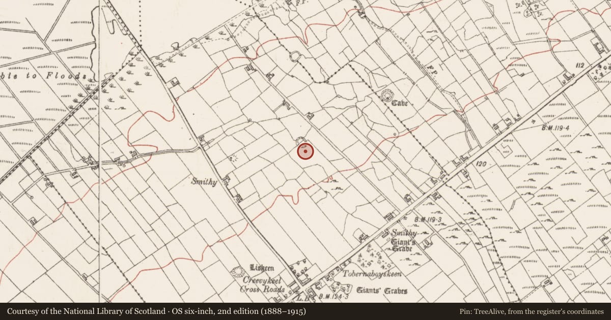 Ordnance Survey six-inch map, 2nd edition (1888–1915) covering the location of Ringfort - cashel, Creevykeel, County Sligo, with a pin at the register's coordinates