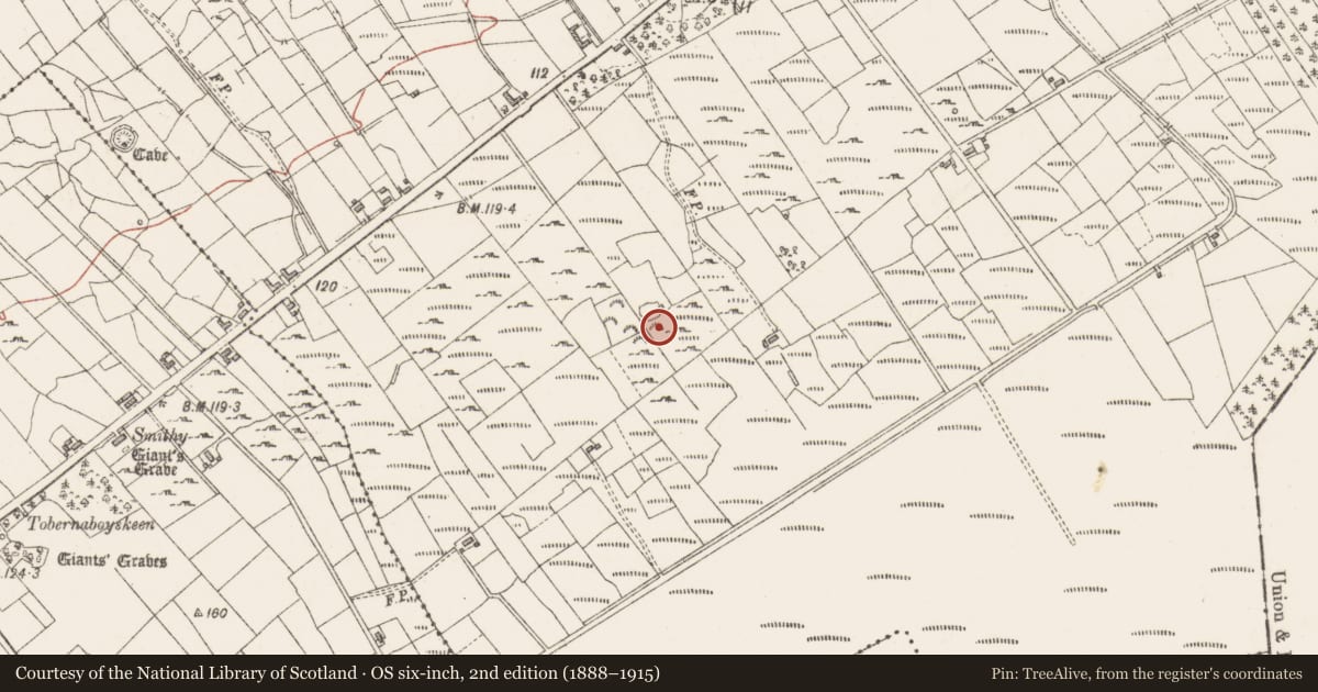 Ordnance Survey six-inch map, 2nd edition (1888–1915) covering the location of Ringfort - unclassified, Bunduff, County Sligo, with a pin at the register's coordinates