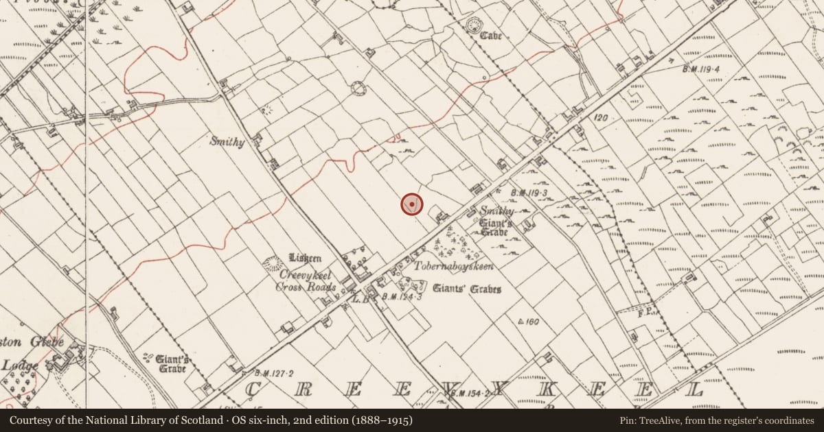 Ordnance Survey six-inch map, 2nd edition (1888–1915) covering the location of Ringfort - cashel, Creevykeel, County Sligo, with a pin at the register's coordinates