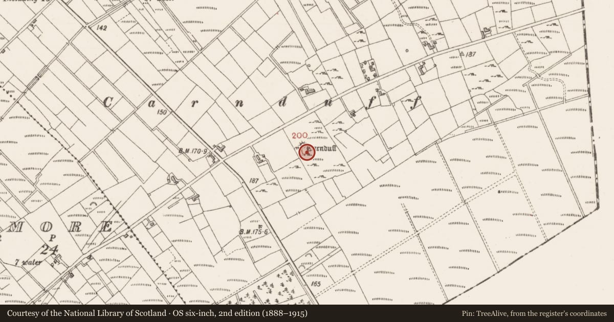 Ordnance Survey six-inch map, 2nd edition (1888–1915) covering the location of Ringfort - cashel, Creevykeel, County Sligo, with a pin at the register's coordinates