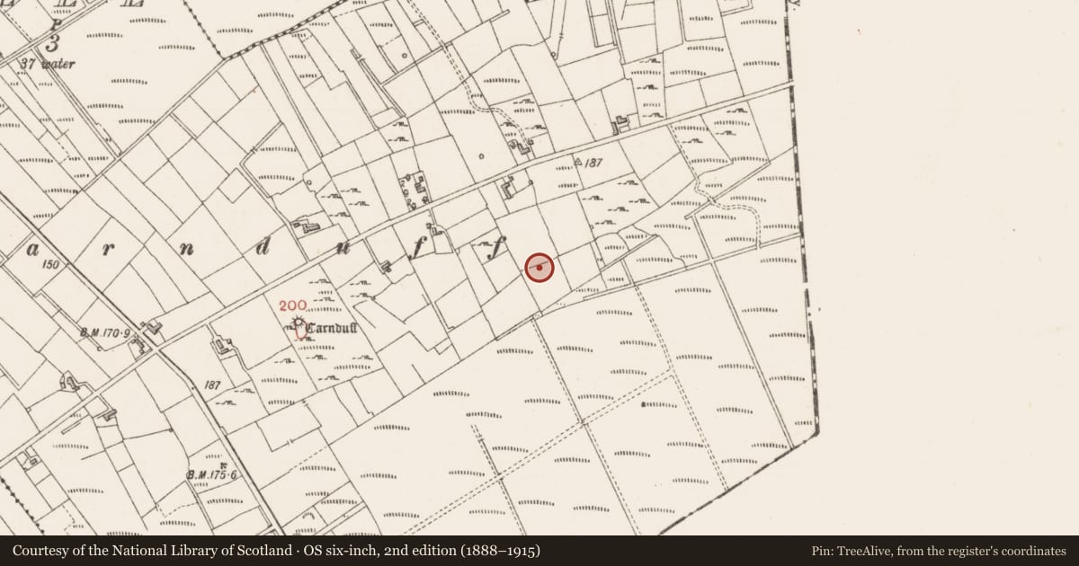 Ordnance Survey six-inch map, 2nd edition (1888–1915) covering the location of Megalithic structure, Creevykeel, County Sligo, with a pin at the register's coordinates