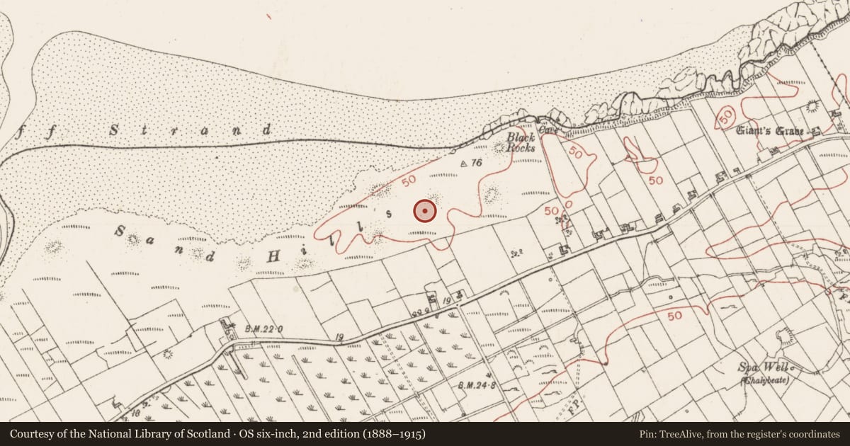 Ordnance Survey six-inch map, 2nd edition (1888–1915) covering the location of Standing stone, Bunduff, County Sligo, with a pin at the register's coordinates
