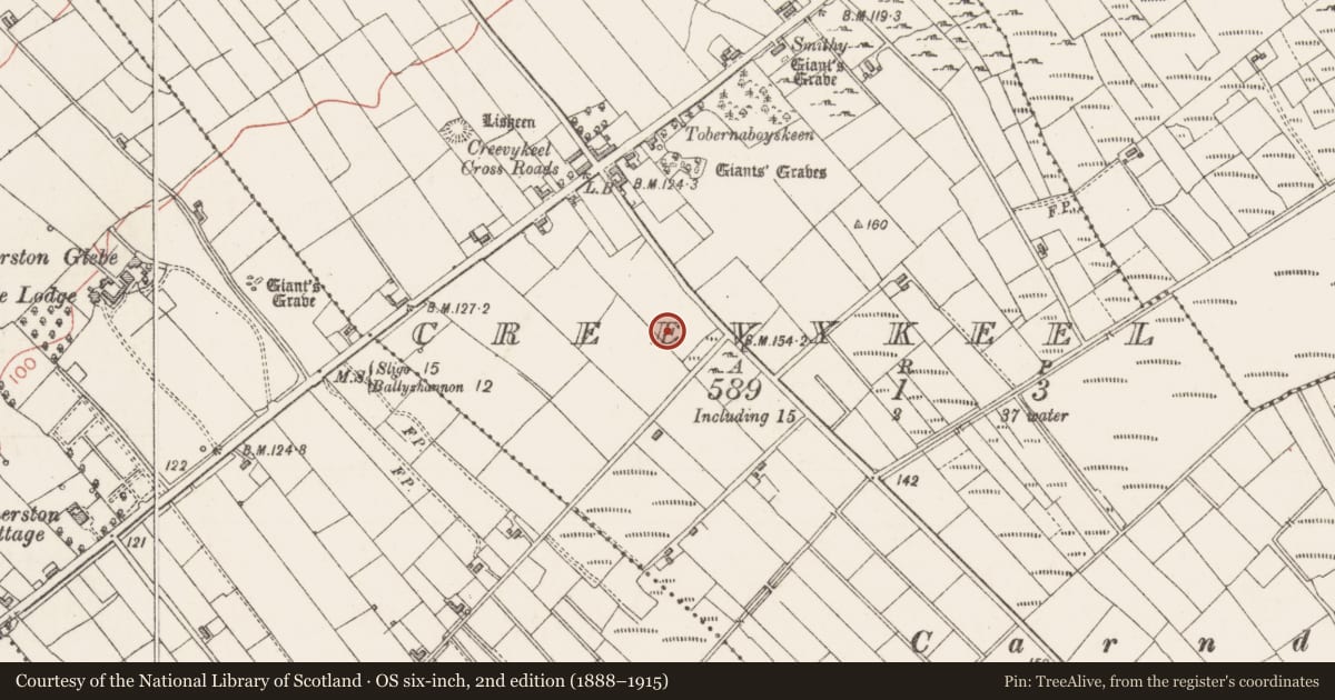 Ordnance Survey six-inch map, 2nd edition (1888–1915) covering the location of Standing stone, Creevykeel, County Sligo, with a pin at the register's coordinates