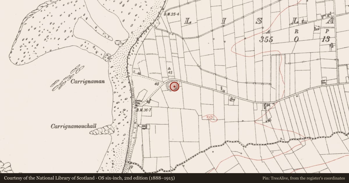 Ordnance Survey six-inch map, 2nd edition (1888–1915) covering the location of Ringfort - rath, Lislary, County Sligo, with a pin at the register's coordinates