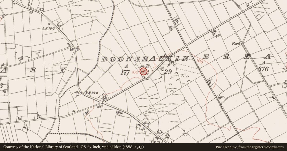 Ordnance Survey six-inch map, 2nd edition (1888–1915) covering the location of Ringfort - rath, Doonshaskin, County Sligo, with a pin at the register's coordinates