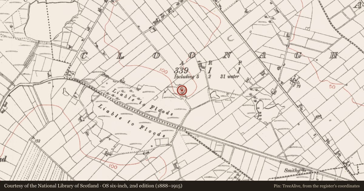 Ordnance Survey six-inch map, 2nd edition (1888–1915) covering the location of Ringfort - rath, Cloonagh, County Sligo, with a pin at the register's coordinates