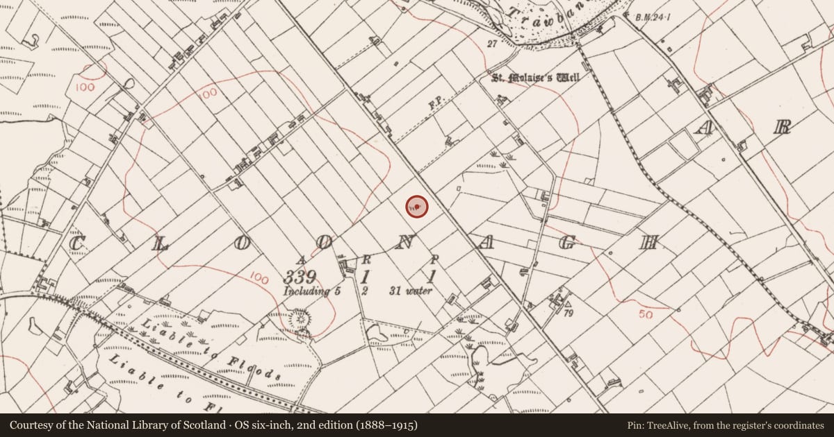 Ordnance Survey six-inch map, 2nd edition (1888–1915) covering the location of Ringfort - rath, Cloonagh, County Sligo, with a pin at the register's coordinates