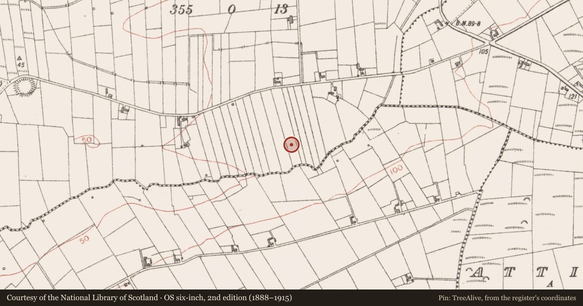Ordnance Survey six-inch map, 2nd edition (1888–1915) covering the location of Ringfort - rath, Lislary, County Sligo, with a pin at the register's coordinates