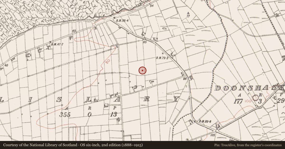 Ordnance Survey six-inch map, 2nd edition (1888–1915) covering the location of Earthwork, Lislary, County Sligo, with a pin at the register's coordinates