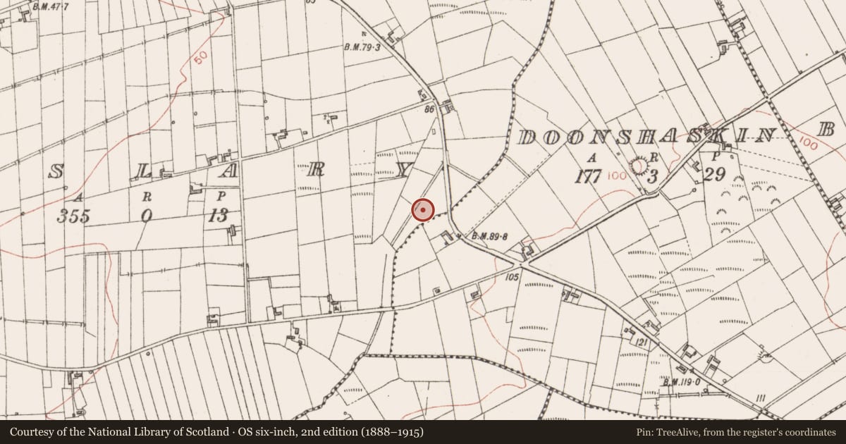 Ordnance Survey six-inch map, 2nd edition (1888–1915) covering the location of Fulacht fia, Lislary, County Sligo, with a pin at the register's coordinates