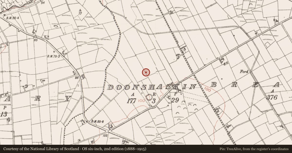 Ordnance Survey six-inch map, 2nd edition (1888–1915) covering the location of Megalithic tomb - court tomb, Doonshaskin, County Sligo, with a pin at the register's coordinates