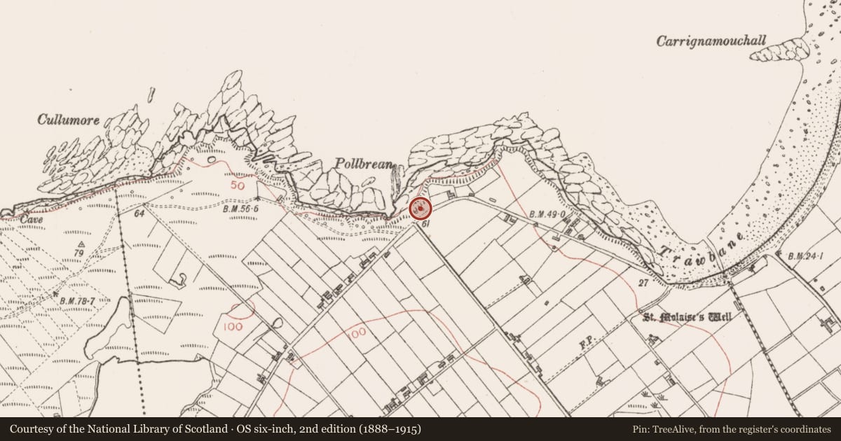 Ordnance Survey six-inch map, 2nd edition (1888–1915) covering the location of Seaweed stand, Cloonagh, County Sligo, with a pin at the register's coordinates