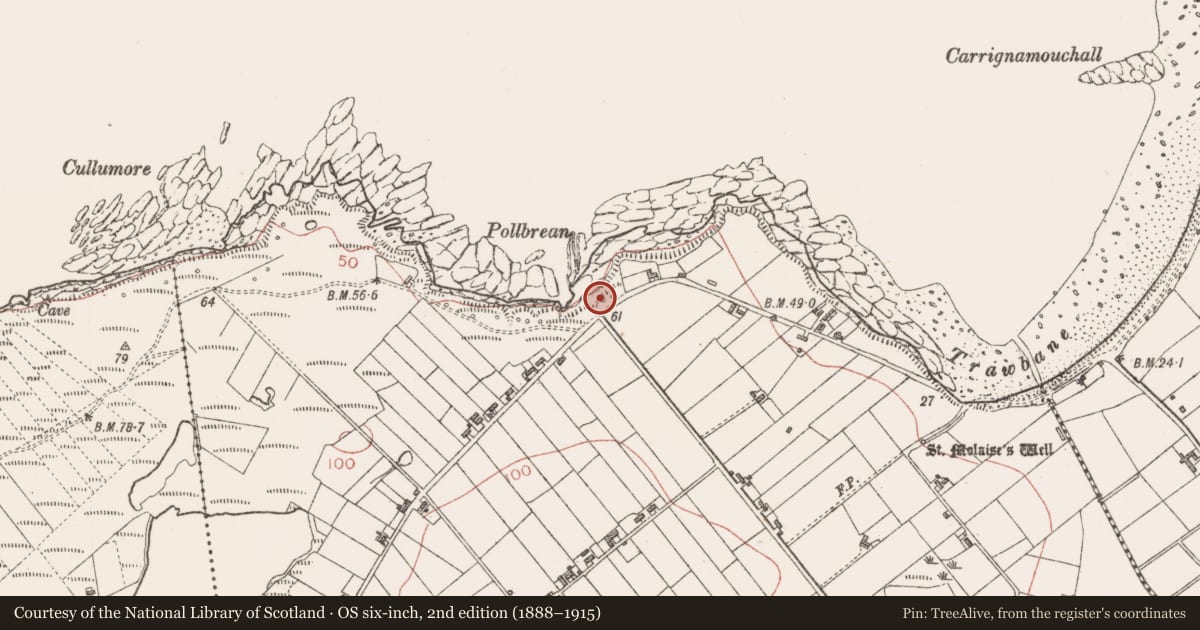 Ordnance Survey six-inch map, 2nd edition (1888–1915) covering the location of Seaweed stand, Cloonagh, County Sligo, with a pin at the register's coordinates