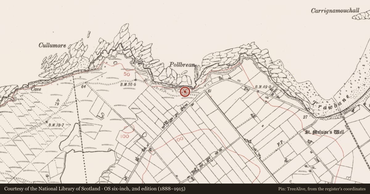 Ordnance Survey six-inch map, 2nd edition (1888–1915) covering the location of Seaweed stand, Cloonagh, County Sligo, with a pin at the register's coordinates