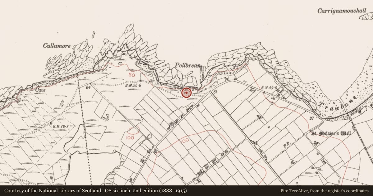 Ordnance Survey six-inch map, 2nd edition (1888–1915) covering the location of Seaweed stand, Cloonagh, County Sligo, with a pin at the register's coordinates