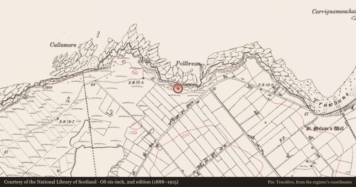Ordnance Survey six-inch map, 2nd edition (1888–1915) covering the location of Seaweed stand, Cloonagh, County Sligo, with a pin at the register's coordinates