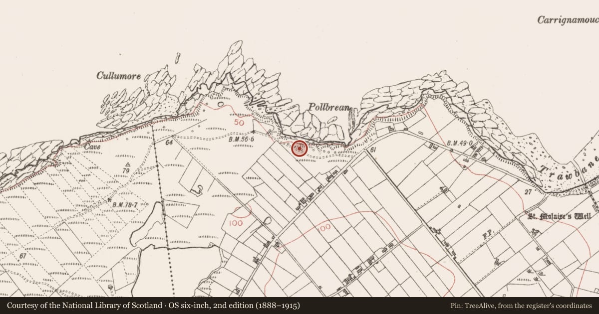 Ordnance Survey six-inch map, 2nd edition (1888–1915) covering the location of Seaweed stand, Cloonagh, County Sligo, with a pin at the register's coordinates