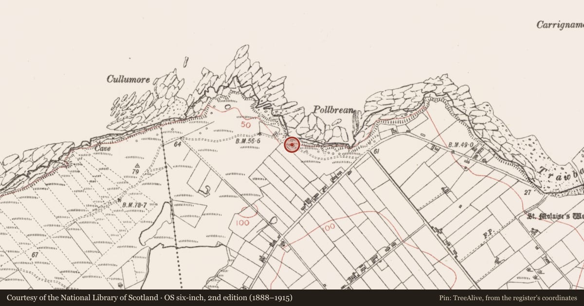 Ordnance Survey six-inch map, 2nd edition (1888–1915) covering the location of Seaweed stand, Cloonagh, County Sligo, with a pin at the register's coordinates