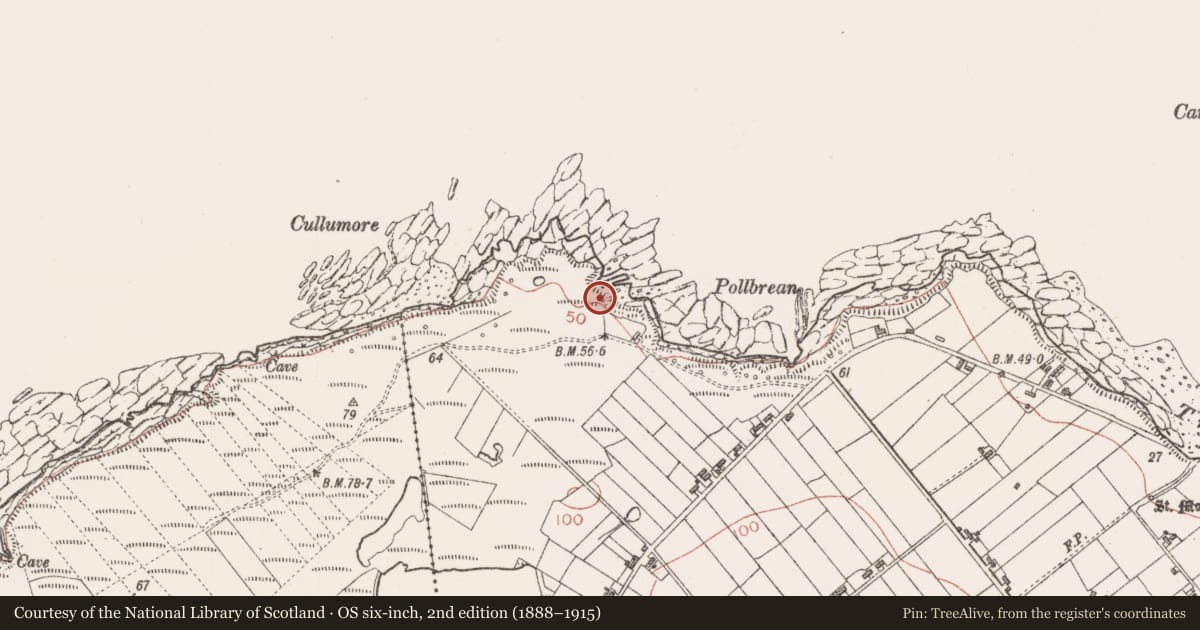 Ordnance Survey six-inch map, 2nd edition (1888–1915) covering the location of Seaweed stand, Cloonagh, County Sligo, with a pin at the register's coordinates