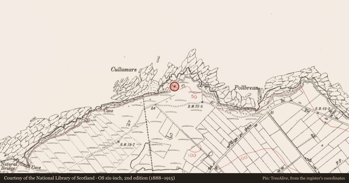 Ordnance Survey six-inch map, 2nd edition (1888–1915) covering the location of Seaweed stand, Cloonagh, County Sligo, with a pin at the register's coordinates