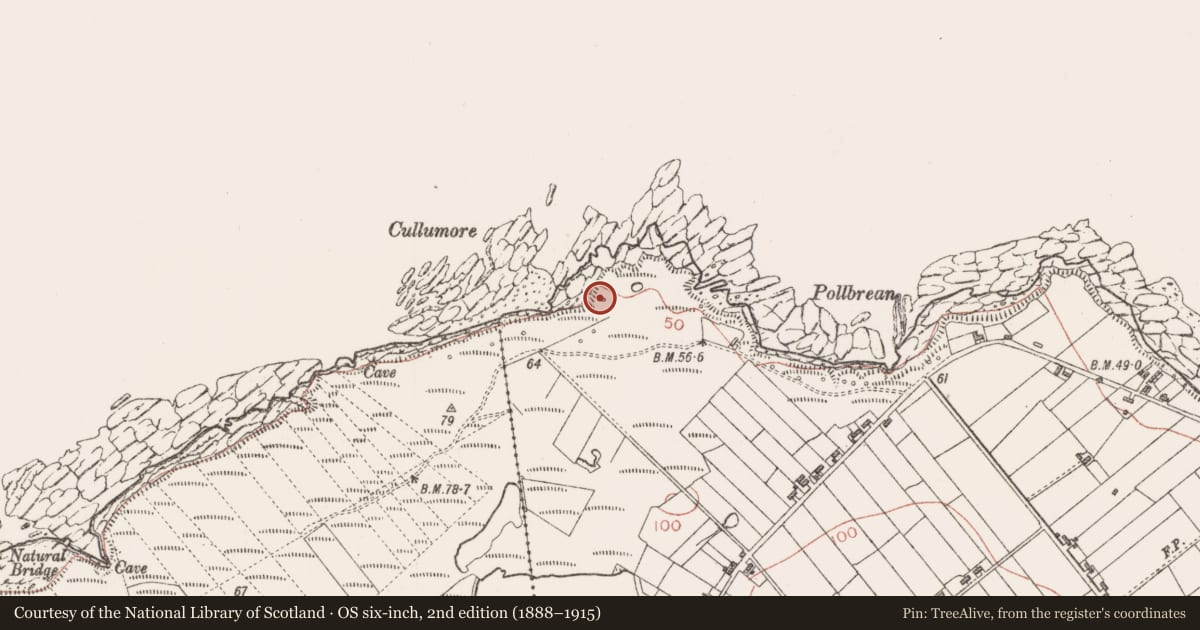 Ordnance Survey six-inch map, 2nd edition (1888–1915) covering the location of Seaweed stand, Cloonagh, County Sligo, with a pin at the register's coordinates