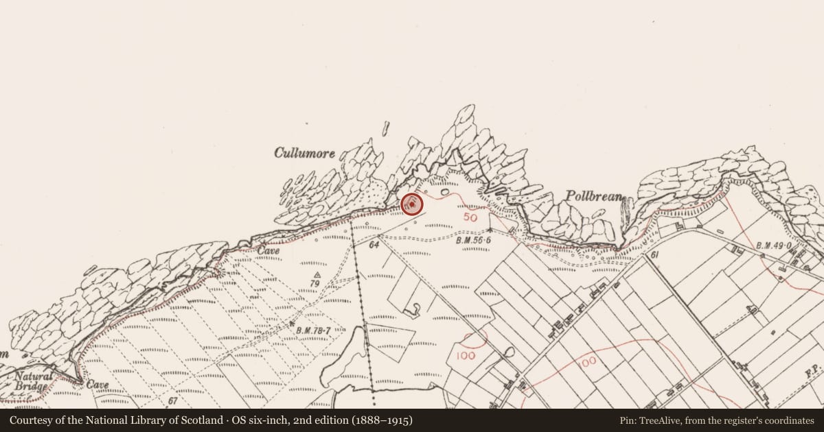 Ordnance Survey six-inch map, 2nd edition (1888–1915) covering the location of Seaweed stand, Cloonagh, County Sligo, with a pin at the register's coordinates
