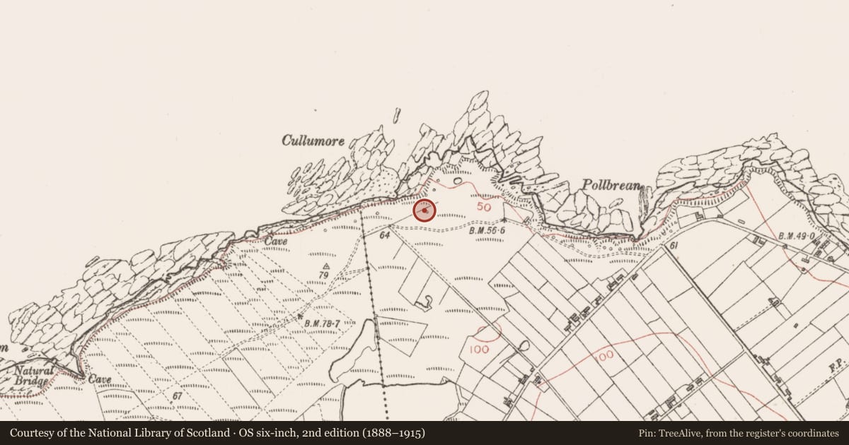 Ordnance Survey six-inch map, 2nd edition (1888–1915) covering the location of Seaweed stand, Cloonagh, County Sligo, with a pin at the register's coordinates