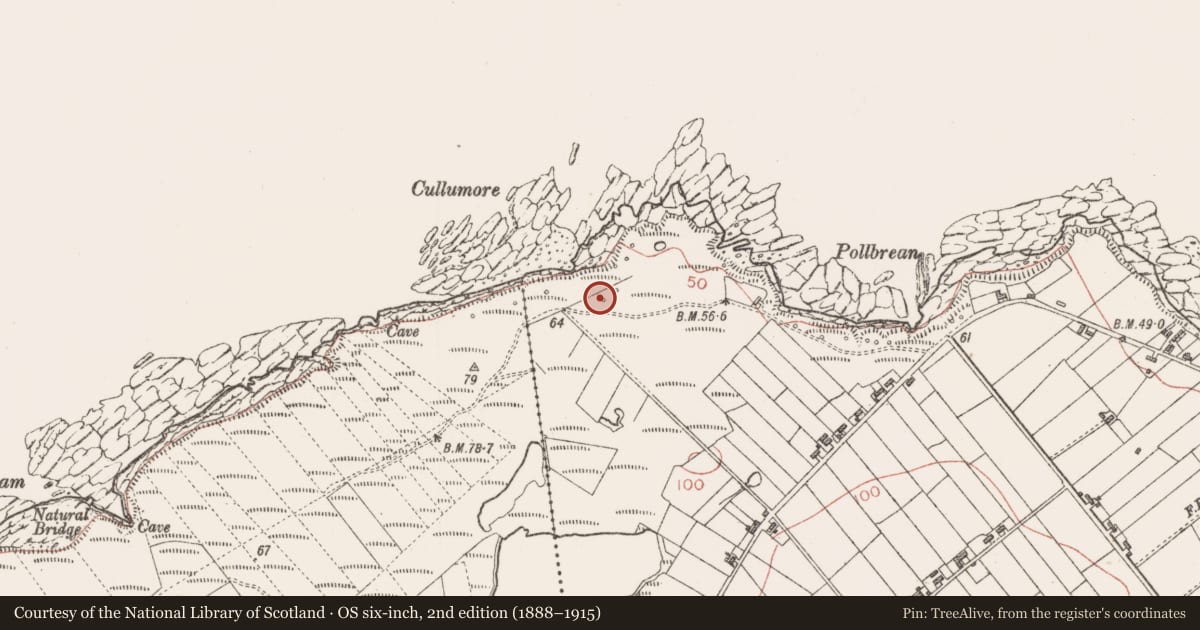 Ordnance Survey six-inch map, 2nd edition (1888–1915) covering the location of Seaweed stand, Cloonagh, County Sligo, with a pin at the register's coordinates