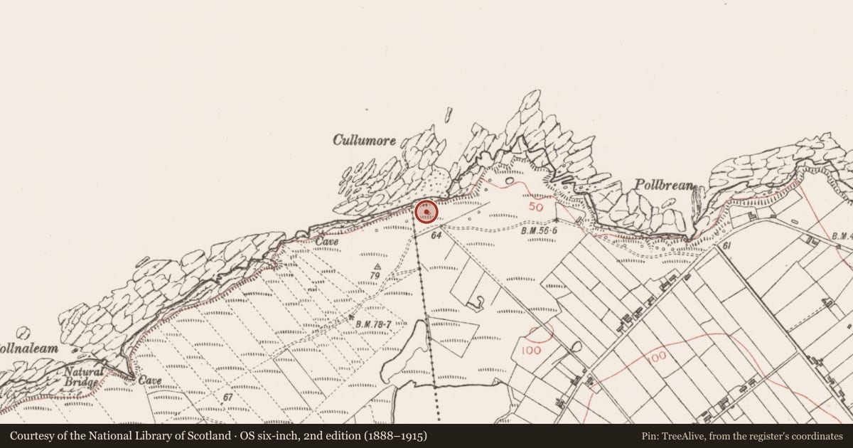 Ordnance Survey six-inch map, 2nd edition (1888–1915) covering the location of Seaweed stand, Cloonagh, County Sligo, with a pin at the register's coordinates