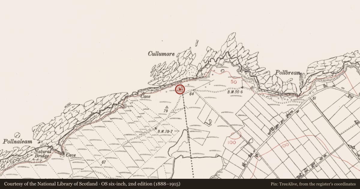 Ordnance Survey six-inch map, 2nd edition (1888–1915) covering the location of Seaweed stand, Ballyconnell, County Sligo, with a pin at the register's coordinates