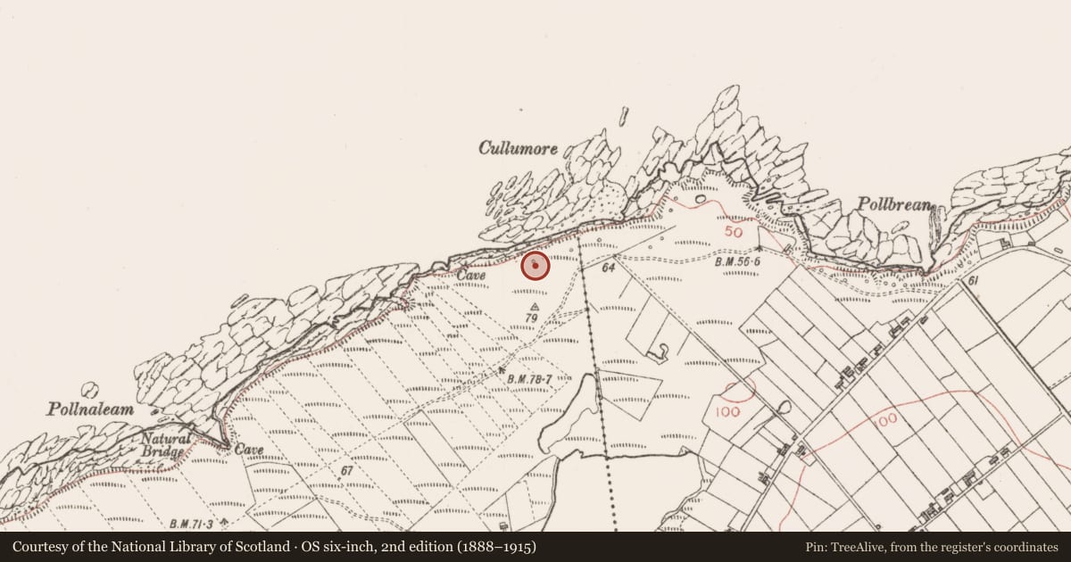 Ordnance Survey six-inch map, 2nd edition (1888–1915) covering the location of Seaweed stand, Ballyconnell, County Sligo, with a pin at the register's coordinates