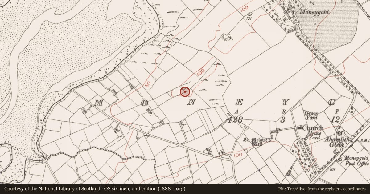 Ordnance Survey six-inch map, 2nd edition (1888–1915) covering the location of Enclosure, Moneygold, County Sligo, with a pin at the register's coordinates