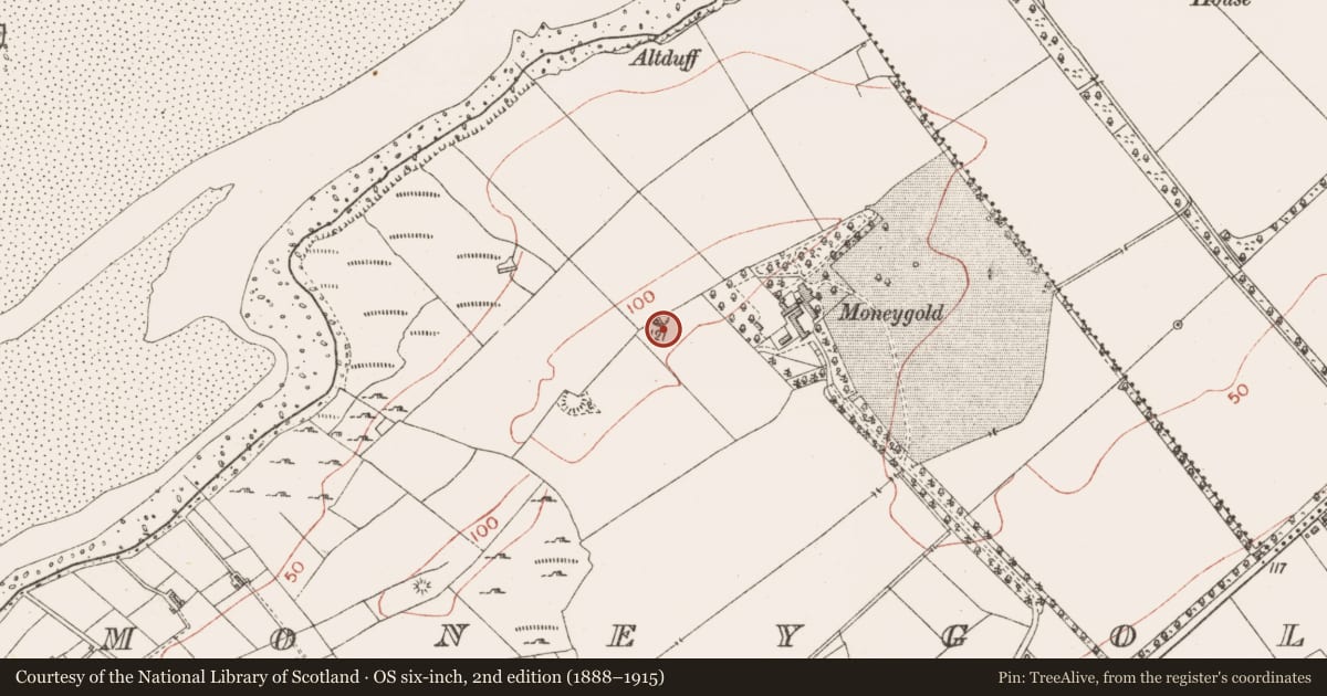 Ordnance Survey six-inch map, 2nd edition (1888–1915) covering the location of Barrow - bowl-barrow, Moneygold, County Sligo, with a pin at the register's coordinates