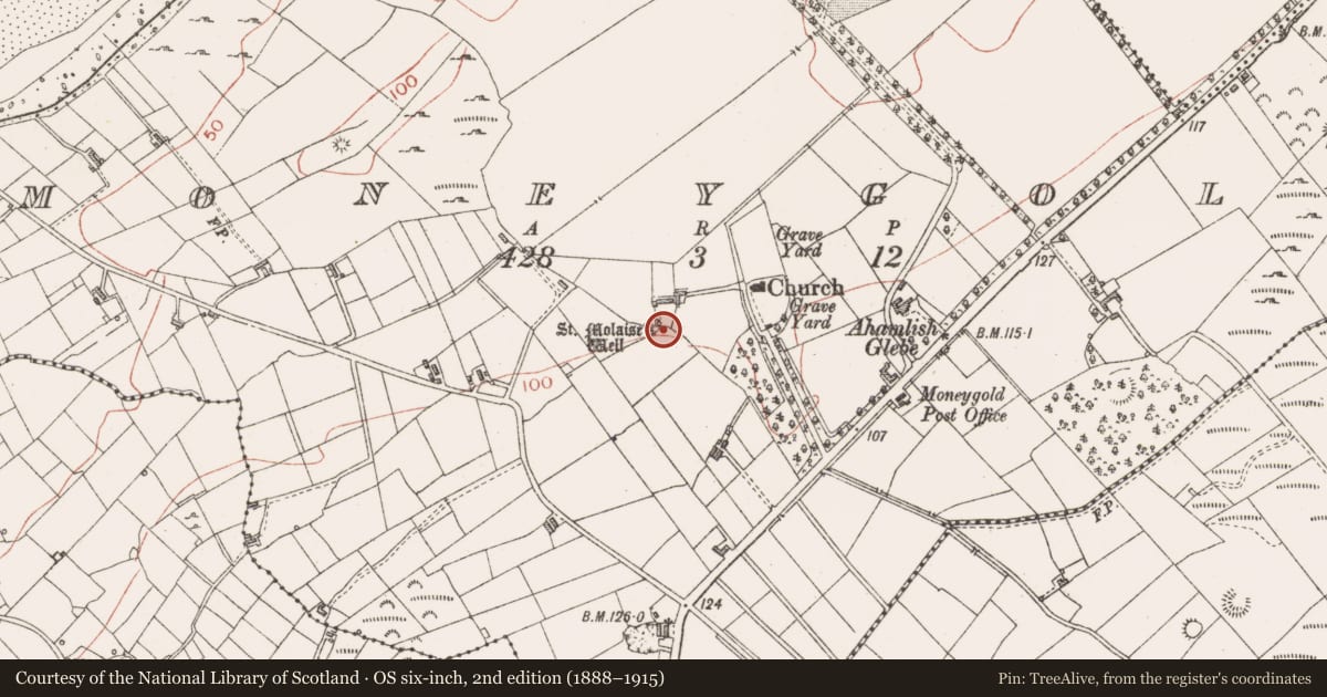 Ordnance Survey six-inch map, 2nd edition (1888–1915) covering the location of Ritual site - holy well, Moneygold, County Sligo, with a pin at the register's coordinates