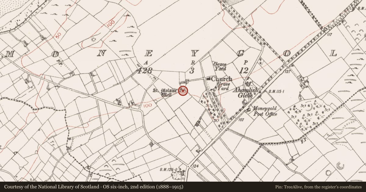 Ordnance Survey six-inch map, 2nd edition (1888–1915) covering the location of Bullaun stone, Moneygold, County Sligo, with a pin at the register's coordinates
