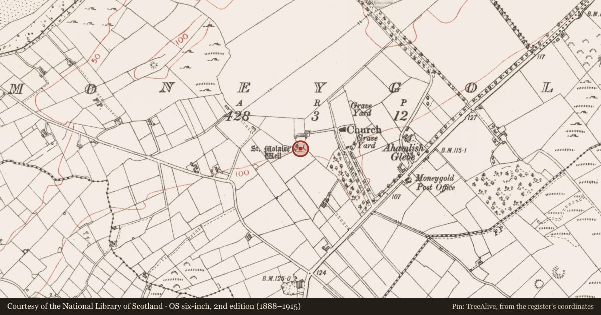Ordnance Survey six-inch map, 2nd edition (1888–1915) covering the location of Penitential station, Moneygold, County Sligo, with a pin at the register's coordinates