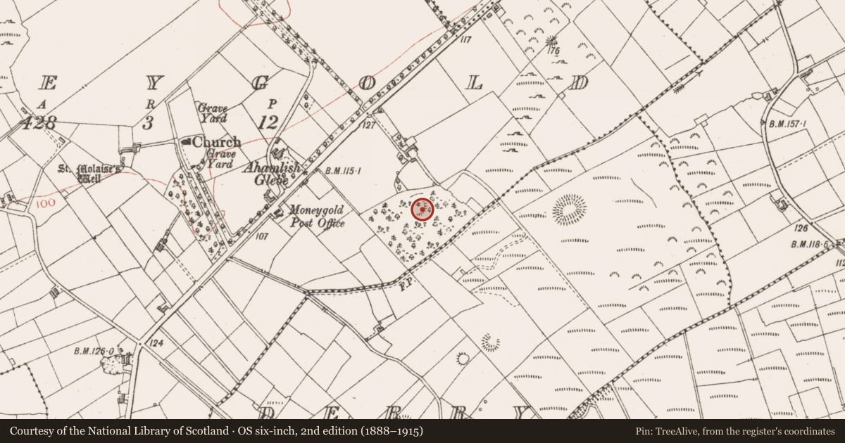 Ordnance Survey six-inch map, 2nd edition (1888–1915) covering the location of Ringfort - cashel, Moneygold, County Sligo, with a pin at the register's coordinates