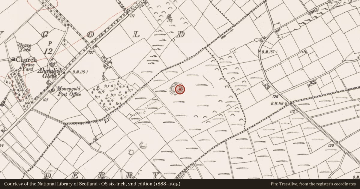 Ordnance Survey six-inch map, 2nd edition (1888–1915) covering the location of Ringfort - cashel, Derry, County Sligo, with a pin at the register's coordinates