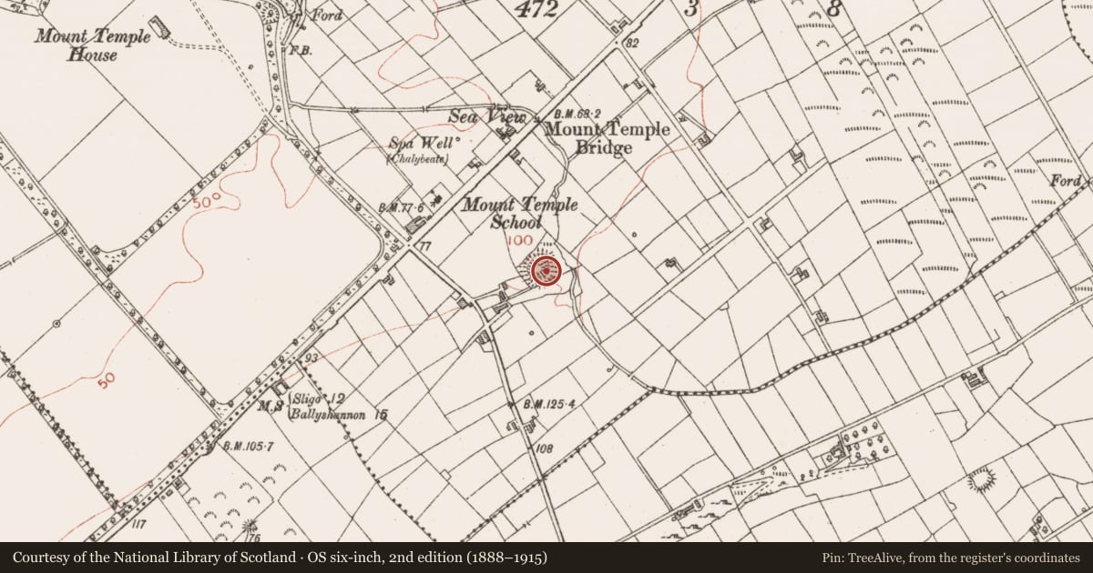 Ordnance Survey six-inch map, 2nd edition (1888–1915) covering the location of Ringfort - rath, Mount Temple, County Sligo, with a pin at the register's coordinates