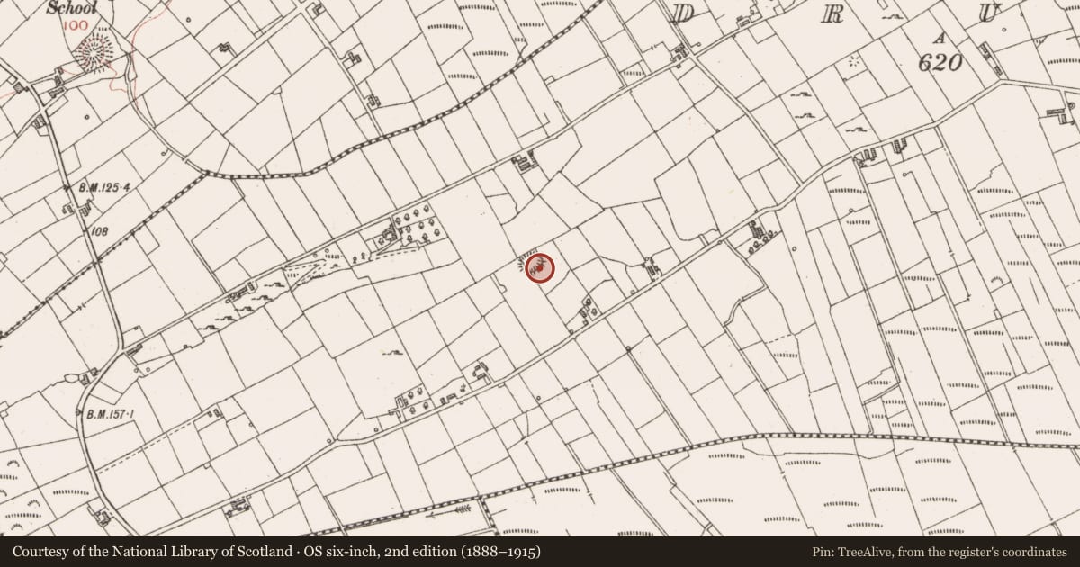 Ordnance Survey six-inch map, 2nd edition (1888–1915) covering the location of Ringfort - cashel, Drumfad, County Sligo, with a pin at the register's coordinates