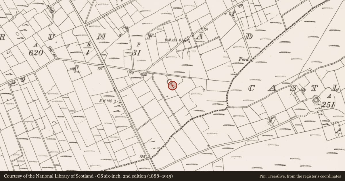 Ordnance Survey six-inch map, 2nd edition (1888–1915) covering the location of Ringfort - cashel, Drumfad, County Sligo, with a pin at the register's coordinates