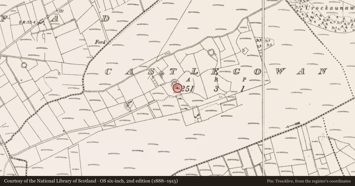 Ordnance Survey six-inch map, 2nd edition (1888–1915) covering the location of Ringfort - cashel, Castlegowan, County Sligo, with a pin at the register's coordinates