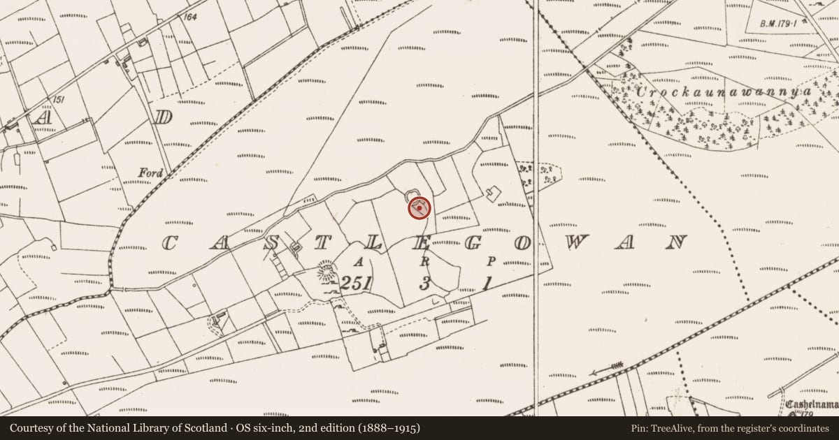 Ordnance Survey six-inch map, 2nd edition (1888–1915) covering the location of Ringfort - cashel, Castlegowan, County Sligo, with a pin at the register's coordinates