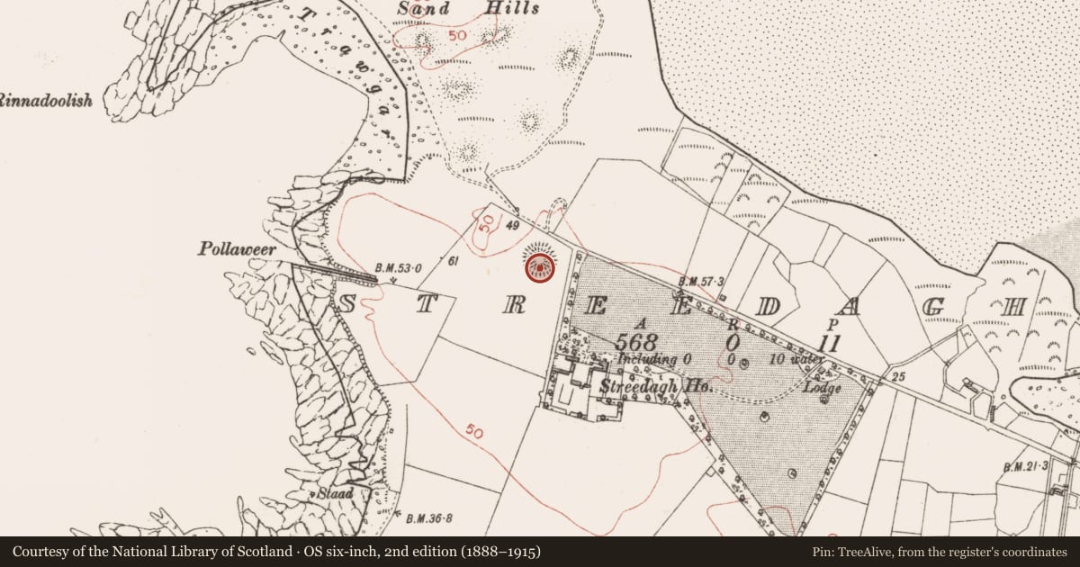 Ordnance Survey six-inch map, 2nd edition (1888–1915) covering the location of Ringfort - rath, Streedagh, County Sligo, with a pin at the register's coordinates