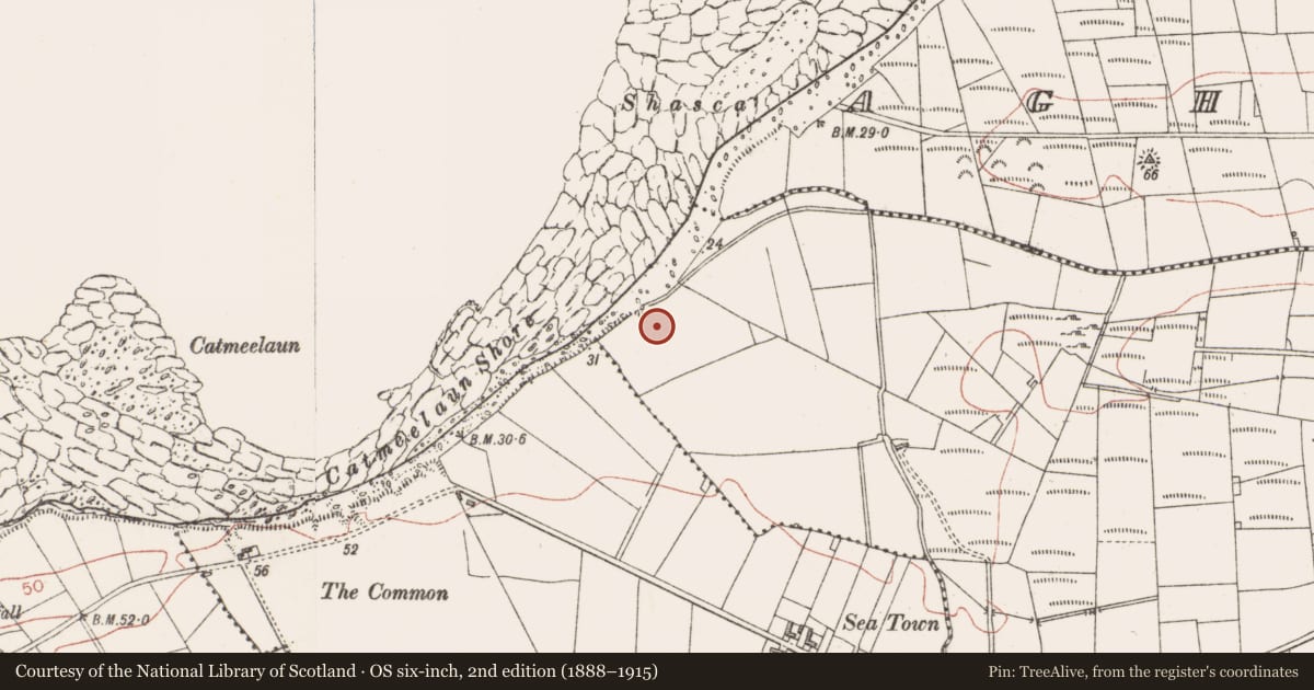 Ordnance Survey six-inch map, 2nd edition (1888–1915) covering the location of Enclosure, Ballyscannel, County Sligo, with a pin at the register's coordinates