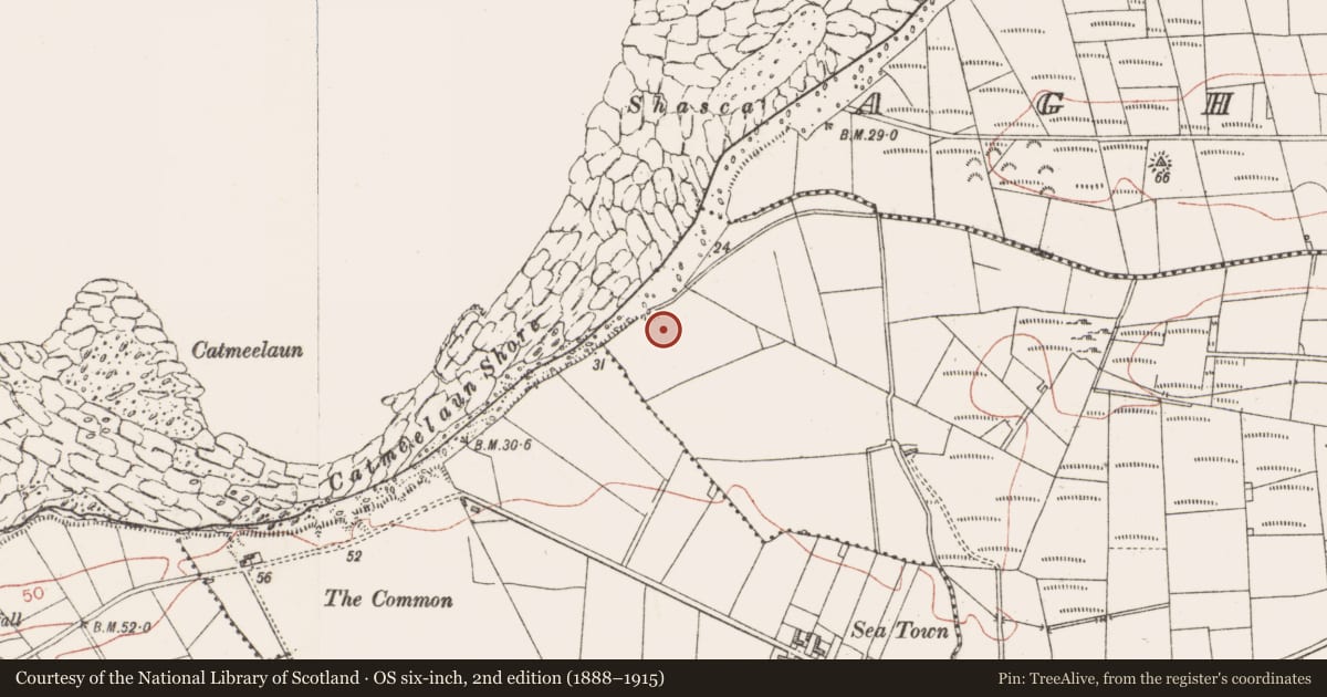 Ordnance Survey six-inch map, 2nd edition (1888–1915) covering the location of Kiln - lime, Ballyscannel, County Sligo, with a pin at the register's coordinates