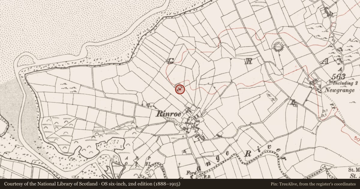 Ordnance Survey six-inch map, 2nd edition (1888–1915) covering the location of Enclosure, Grange, County Sligo, with a pin at the register's coordinates