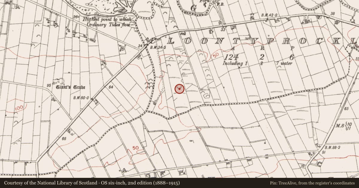 Ordnance Survey six-inch map, 2nd edition (1888–1915) covering the location of Ringfort - rath, Cloontyprocklis, County Sligo, with a pin at the register's coordinates