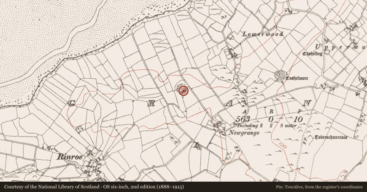 Ordnance Survey six-inch map, 2nd edition (1888–1915) covering the location of Ringfort - unclassified, Grange, County Sligo, with a pin at the register's coordinates